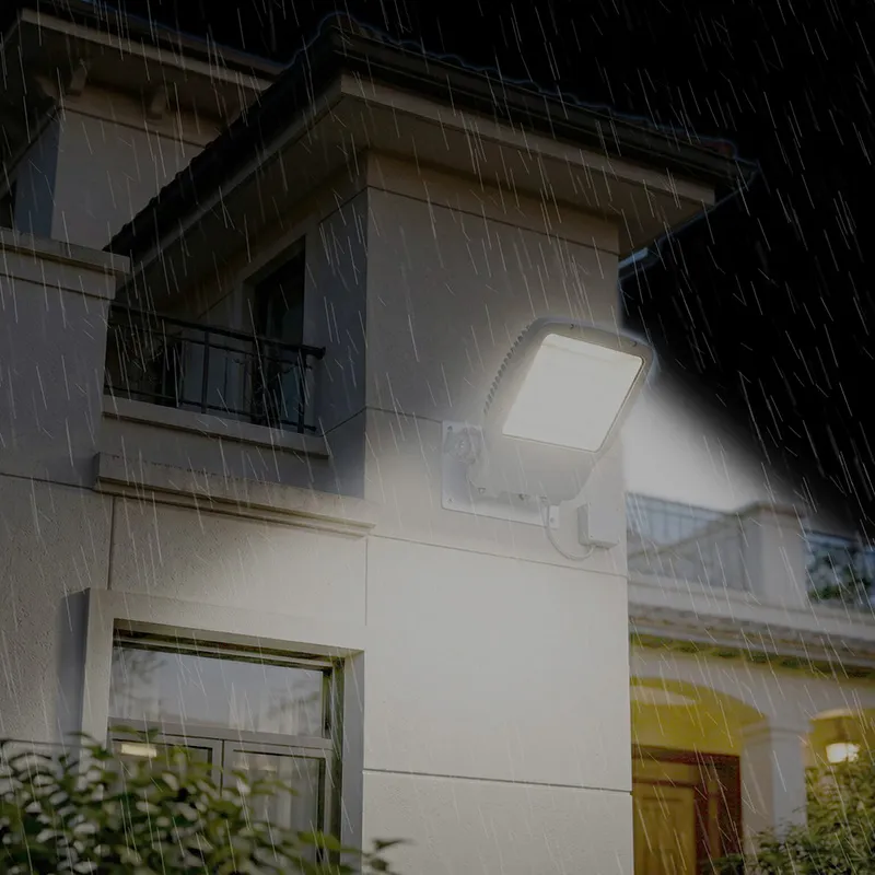 backyard LED flood light