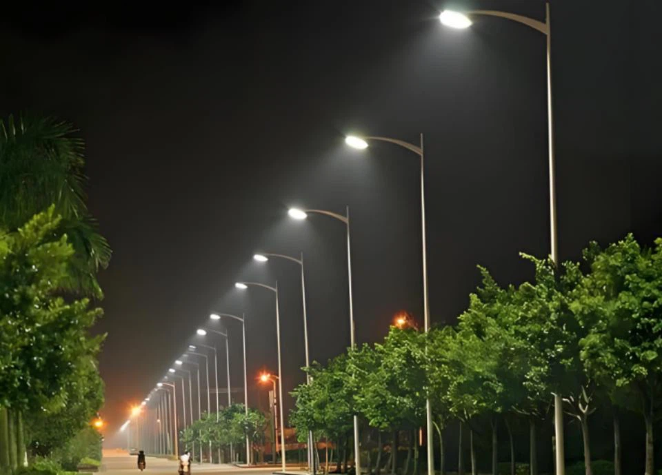 info-960-689 info-960-689